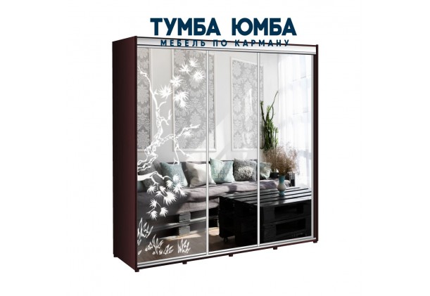 фото недорогой красивый и современный шкаф-купе 2500/450/2200 с раздвижными дверьми и пескоструйным рисунком из ЛДСП от производителя в интернет-магазине TUMBA-UMBA™ Украина