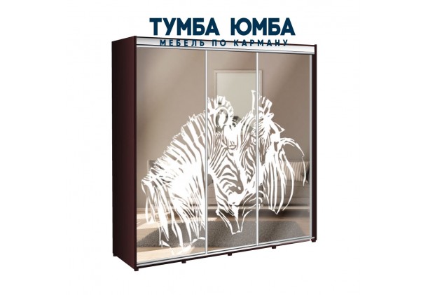 фото недорогой красивый и современный шкаф-купе 2500/600/2200 с раздвижными дверьми и пескоструйным рисунком из ЛДСП от производителя в интернет-магазине TUMBA-UMBA™ Украина