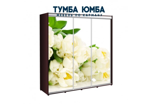 фото недорогой красивый и современный шкаф-купе 2600/600/2400 с раздвижными дверьми с фотопечатью из ЛДСП от производителя в интернет-магазине TUMBA-UMBA™ Украина