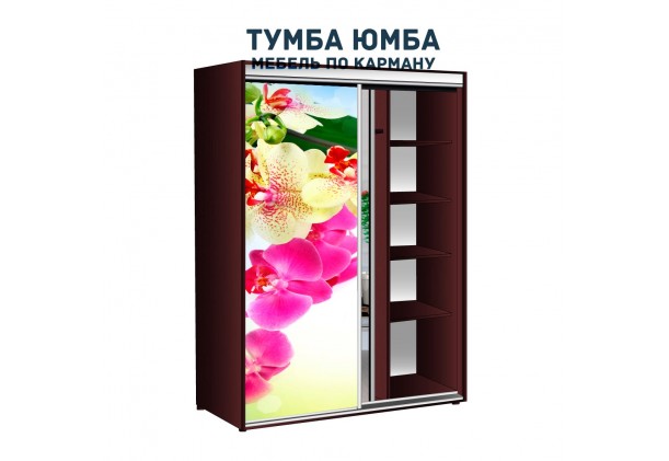 фото недорогой красивый и современный шкаф-купе 1200/450/2100 с раздвижными дверьми c фотопечатью из ЛДСП от производителя в интернет-магазине TUMBA-UMBA™ Украина