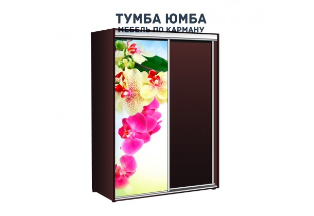фото недорогой красивый и современный шкаф-купе 1700/450/2100 с раздвижными дверьми с фотопечатью из ЛДСП от производителя в интернет-магазине TUMBA-UMBA™ Украина