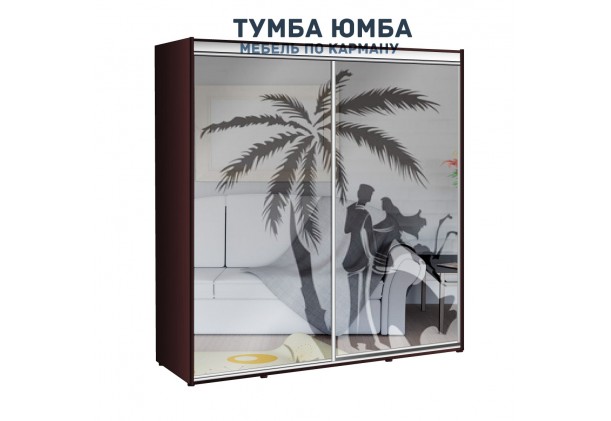 фото недорогой красивый и современный шкаф-купе 1900/450/2100 с раздвижными дверьми c пескоструйным рисунком из ЛДСП от производителя в интернет-магазине TUMBA-UMBA™ Украина
