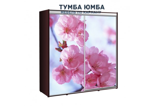 фото недорогой красивый и современный шкаф-купе 2100/450/2100 с раздвижными дверьми с фотопечатью из ЛДСП от производителя в интернет-магазине TUMBA-UMBA™ Украина