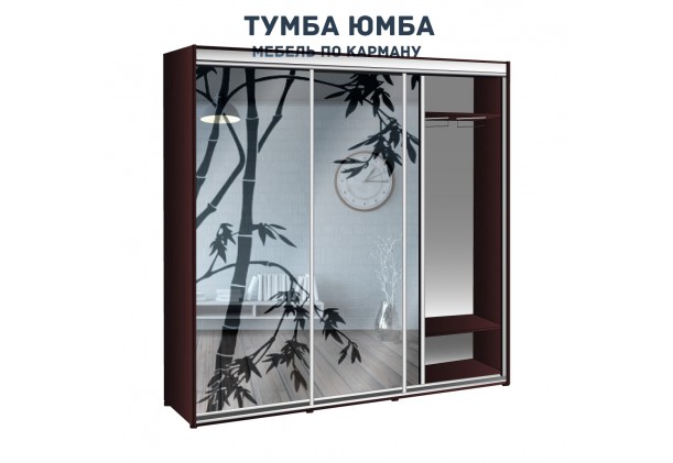 фото недорогой красивый и современный шкаф-купе 2500/450/2100 с раздвижными дверьми с пескоструйным рисунком из ЛДСП от производителя в интернет-магазине TUMBA-UMBA™ Украина