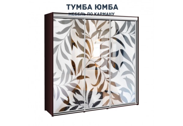 фото недорогой красивый и современный шкаф-купе 2400/450/2100 с раздвижными дверьми c пескоструйным рисунком из ЛДСП от производителя в интернет-магазине TUMBA-UMBA™ Украина