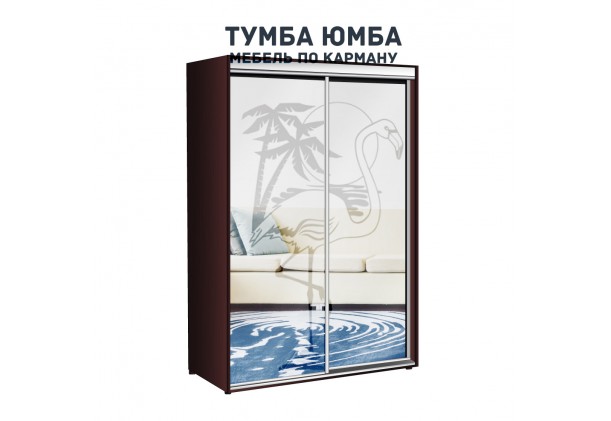 фото недорогой красивый и современный шкаф-купе 1000/450/2100 с раздвижными дверьми с пескоструйным рисунком из ЛДСП от производителя в интернет-магазине TUMBA-UMBA™ Украина