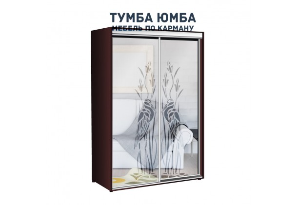 фото недорогой красивый и современный шкаф-купе 1100/450/2100 с раздвижными дверьми c пескоструйным рисунком из ЛДСП от производителя в интернет-магазине TUMBA-UMBA™ Украина