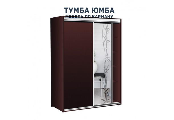фото недорогой красивый и современный шкаф-купе 1600/450/2100 с раздвижными дверьми с пескоструйным рисунком из ЛДСП от производителя в интернет-магазине TUMBA-UMBA™ Украина