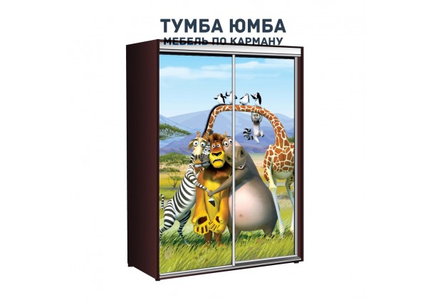 фото недорогой красивый и современный шкаф-купе 1500/600/2100 с раздвижными дверьми c фотопечатью из ЛДСП от производителя в интернет-магазине TUMBA-UMBA™ Украина
