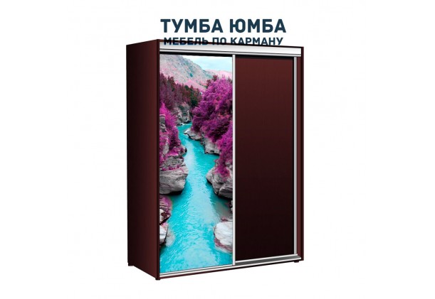 фото недорогой красивый и современный шкаф-купе 1600/600/2100 с раздвижными дверьми с фотопечатью из ЛДСП от производителя в интернет-магазине TUMBA-UMBA™ Украина