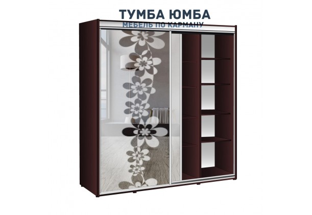 фото недорогой красивый и современный шкаф-купе 2000/600/2100 с раздвижными дверьми и пескоструйным рисунком из ЛДСП от производителя в интернет-магазине TUMBA-UMBA™ Украина