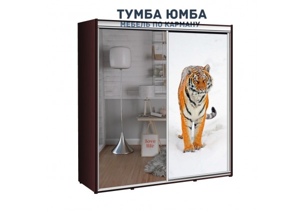 фото недорогой красивый и современный шкаф-купе 2100/600/2100 с раздвижными дверьми c фотопечатью из ЛДСП от производителя в интернет-магазине TUMBA-UMBA™ Украина