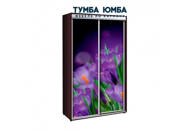 фото недорогой красивый и современный шкаф-купе 1000/450/2400 с раздвижными дверьми с фотопечатью из ЛДСП от производителя в интернет-магазине TUMBA-UMBA™ Украина