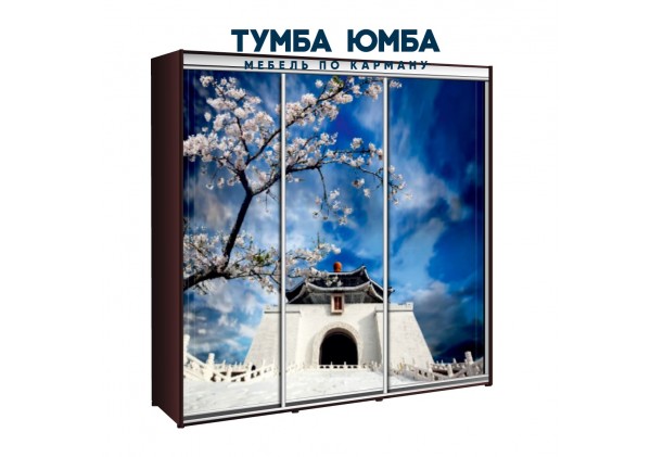 фото недорогой красивый и современный шкаф-купе 2400/450/2400 с раздвижными дверьми с фотопечатью из ЛДСП от производителя в интернет-магазине TUMBA-UMBA™ Украина