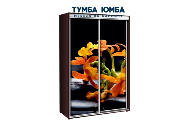 фото недорогой красивый и современный шкаф-купе 1200/600/2400 с раздвижными дверьми с фотопечатью из ЛДСП от производителя в интернет-магазине TUMBA-UMBA™ Украина