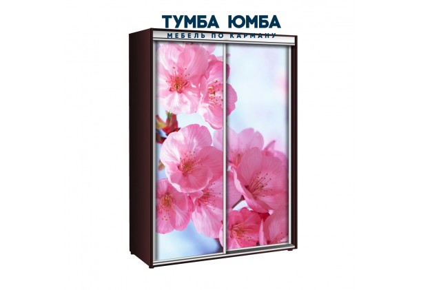 фото недорогой красивый и современный шкаф-купе 1600/600/2400 с раздвижными дверьми c фотопечатью из ЛДСП от производителя в интернет-магазине TUMBA-UMBA™ Украина
