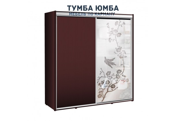 фото недорогой красивый и современный шкаф-купе 1900/600/2400 с раздвижными дверьми и пескоструйным рисунком и глухой дверью из ЛДСП от производителя в интернет-магазине TUMBA-UMBA™ Украина