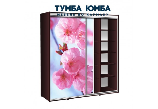 фото недорогой красивый и современный шкаф-купе 2100/600/2400 с раздвижными дверьми с фотопечатью из ЛДСП от производителя в интернет-магазине TUMBA-UMBA™ Украина