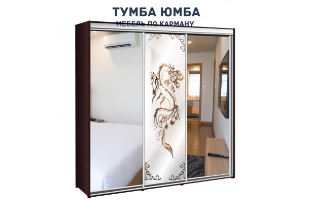 фото недорогой красивый и современный шкаф-купе 2200/600/2400 с раздвижными дверьми c пескоструйным рисунком из ЛДСП от производителя в интернет-магазине TUMBA-UMBA™ Украина