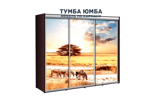 фото недорогой красивый и современный шкаф-купе 2700/600/2400 с раздвижными дверьми с фотопечатью из ЛДСП от производителя в интернет-магазине TUMBA-UMBA™ Украина