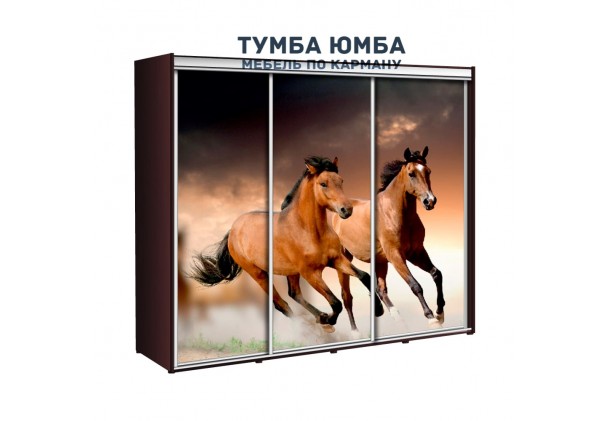 фото недорогой красивый и современный шкаф-купе 2700/600/2100 с раздвижными дверьми с фотопечатью из ЛДСП от производителя в интернет-магазине TUMBA-UMBA™ Украина