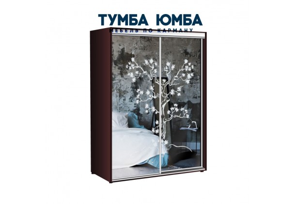 фото недорогой красивый и современный шкаф-купе 1400/450/2200 с раздвижными дверьми с пескоструйным рисунком из ЛДСП от производителя в интернет-магазине TUMBA-UMBA™ Украина