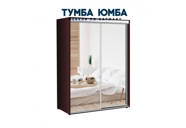фото недорогой красивый и современный шкаф-купе 1600/450/2200 с раздвижными дверьми с пескоструйным рисунком из ЛДСП от производителя в интернет-магазине TUMBA-UMBA™ Украина