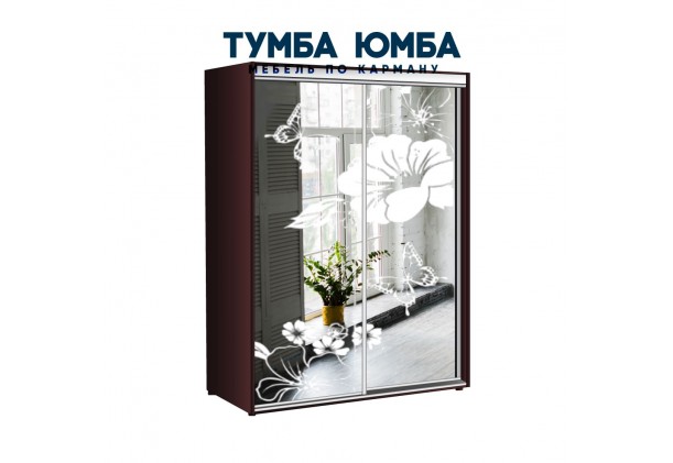 фото недорогой красивый и современный шкаф-купе 1700/450/2200 с раздвижными дверьми с пескоструйным рисунком из ЛДСП от производителя в интернет-магазине TUMBA-UMBA™ Украина