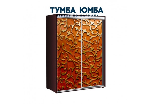 фото недорогой красивый и современный шкаф-купе 1700/600/2200 с раздвижными дверьми с фотопечатью из ЛДСП от производителя в интернет-магазине TUMBA-UMBA™ Украина