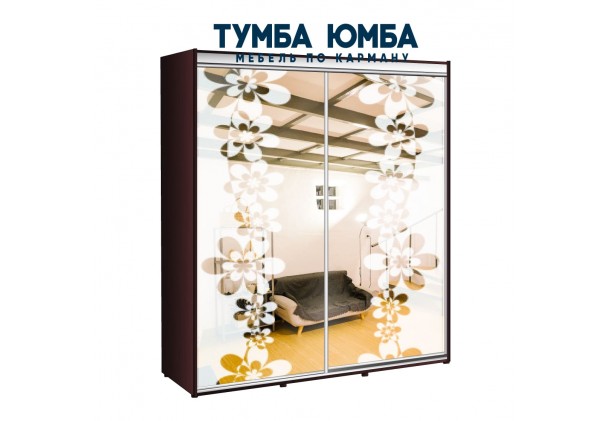 фото недорогой красивый и современный шкаф-купе 2000/450/2200 с зеркальными раздвижными дверьми из ЛДСП от производителя в интернет-магазине TUMBA-UMBA™ Украина