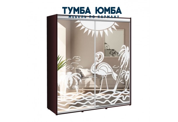 фото недорогой красивый и современный шкаф-купе 2100/600/2200 с раздвижными дверьми c пескоструйным рисунком из ЛДСП от производителя в интернет-магазине TUMBA-UMBA™ Украина