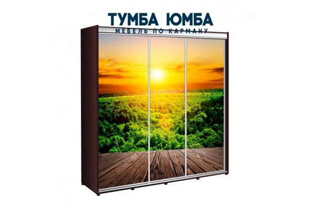 фото недорогой красивый и современный шкаф-купе 2300/450/2200 с раздвижными дверьми с фотопечатью из ЛДСП от производителя в интернет-магазине TUMBA-UMBA™ Украина