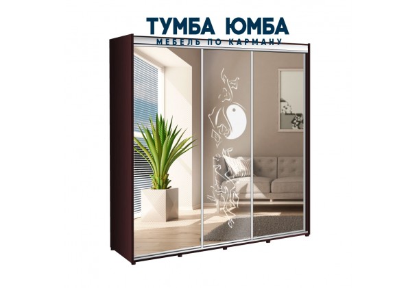 фото недорогой красивый и современный шкаф-купе 2300/600/2200 с раздвижными дверьми с пескоструйным рисунком из ЛДСП от производителя в интернет-магазине TUMBA-UMBA™ Украина