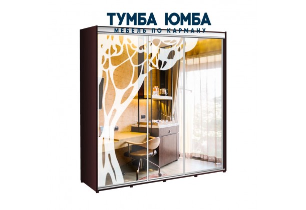 фото недорогой красивый и современный шкаф-купе 2400/450/2200 с раздвижными дверьми с пескоструйным рисунком из ЛДСП от производителя в интернет-магазине TUMBA-UMBA™ Украина
