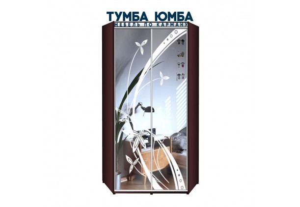 фото недорогой красивый и современный угловой шкаф-купе 1000/1000/2200 с раздвижными дверьми с пескоструйным рисунком из ЛДСП от производителя в интернет-магазине TUMBA-UMBA™ Украина