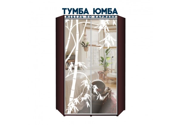 фото недорогой красивый и современный шкаф-купе 1500/1500/2200 с раздвижными дверьми с пескоструйным рисунком из ЛДСП от производителя в интернет-магазине TUMBA-UMBA™ Украина