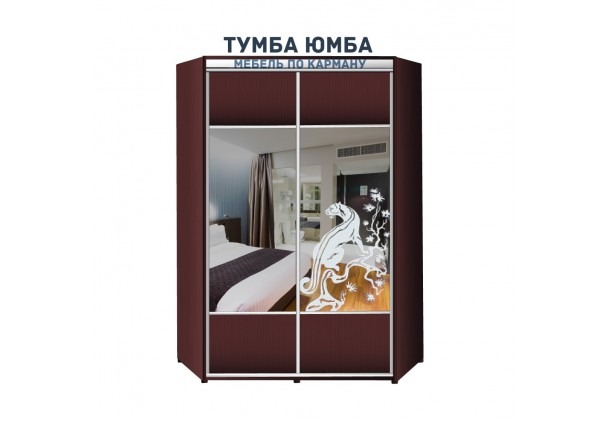 фото недорогой красивый и современный шкаф-купе 1400/1400/2100 с раздвижными дверьми с пескоструйным рисунком из ЛДСП от производителя в интернет-магазине TUMBA-UMBA™ Украина