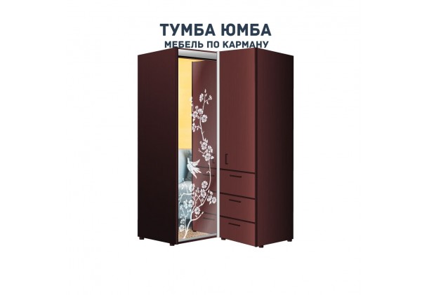 фото недорогой красивый угловой шкаф-купе с пеналом-2 и выдвижными ящиками 1000х2100 c пескоструйным рисунком, низкая цена от производителя в интернет-магазине TUMBA-UMBA™ Украина