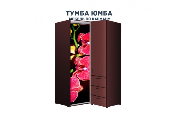 фото недорогой красивый угловой шкаф-купе с пеналом-2 и выдвижными ящиками 900х2400 c фотопечатью, низкая цена от производителя в интернет-магазине TUMBA-UMBA™ Украина