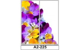 Фотопечать А2-225 для шкафа-купе на две двери. Цветы