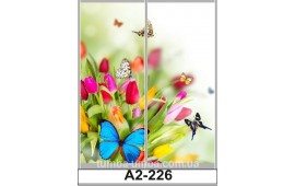 Фотопечать А2-221 для шкафа-купе на две двери. Цветы и бабочки