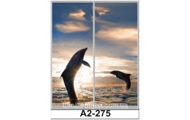 Фотопечать А2-275 для шкафа-купе на две двери. Дельфины