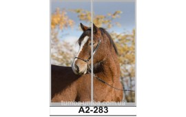 Фотопечать А2-283 для шкафа-купе на две двери. Конь