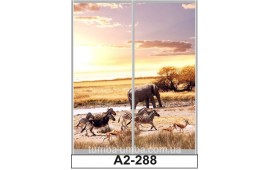Фотопечать А2-288 для шкафа-купе на две двери. Африка
