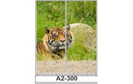 Фотопечать А2-300 для шкафа-купе на две двери. Тигр