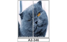 Фотопечать А2-346 для шкафа-купе на две двери. Кот