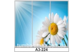 Фотопечать А3-224 для шкафа-купе на три двери. Цветы